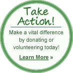 Take Action! Make a vital difference by donating or volunteering today! Learn More>>