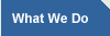 What We Do