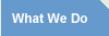 What We Do